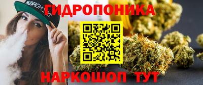 амф Новозыбков