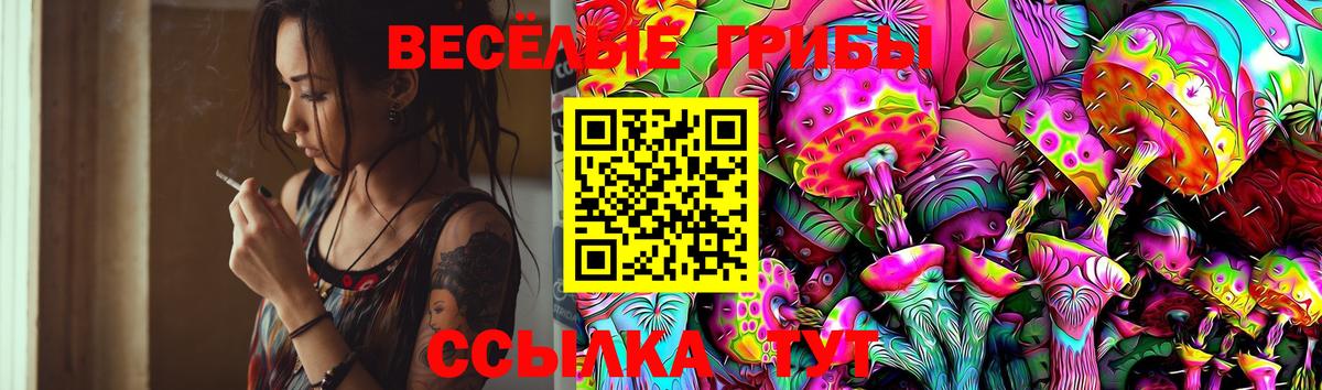 Надым  Галлюциногенные грибы Cubensis  Вход с VPN 